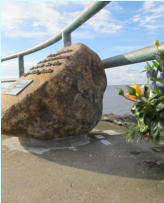 Add your one line caption using the Image tab of the Web Properties dialog