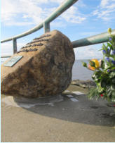 Add your one line caption using the Image tab of the Web Properties dialog